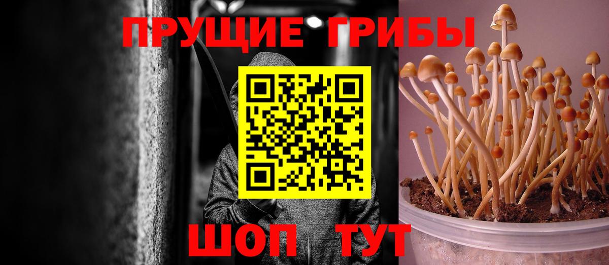 Галлюциногенные грибы Psilocybe  Вход с VPN  Псилоцибиновые грибы GOLDEN TEACHER  Борисоглебск 